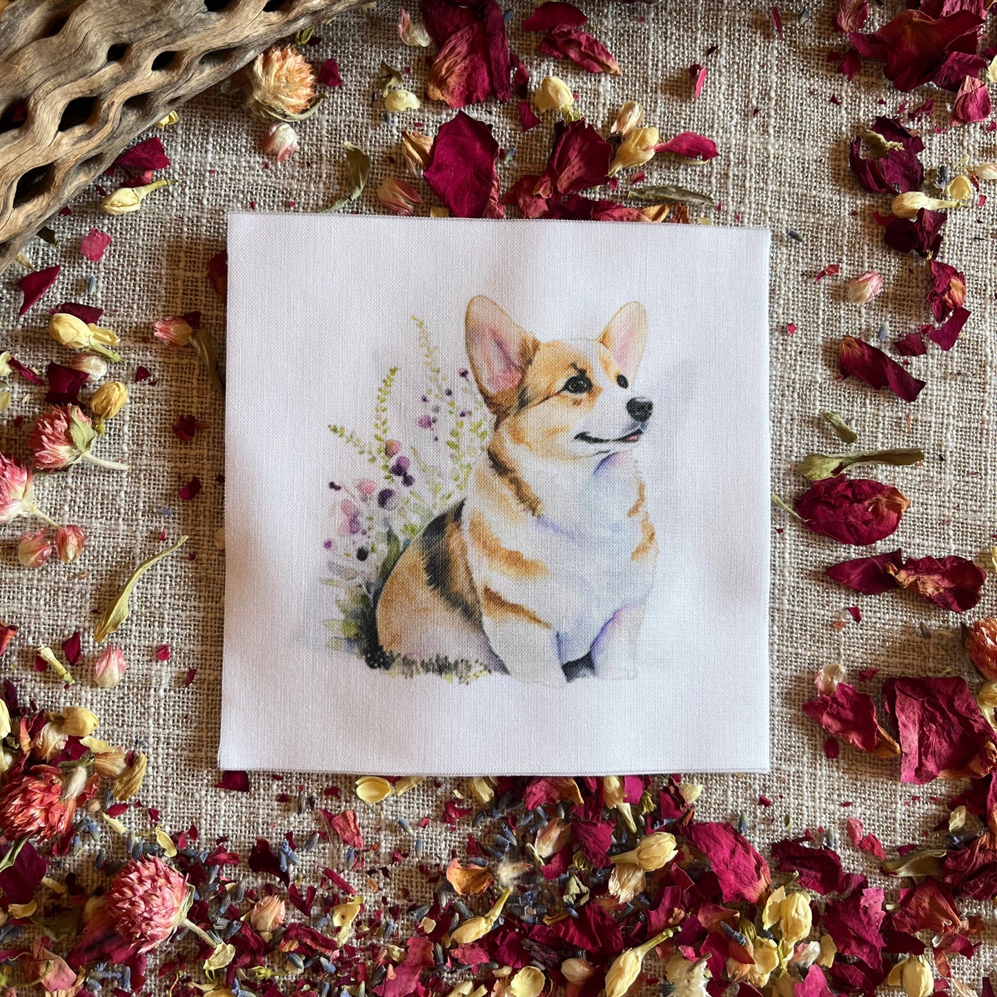 Set of 5 Different Adorable Corgi Quilt Squares