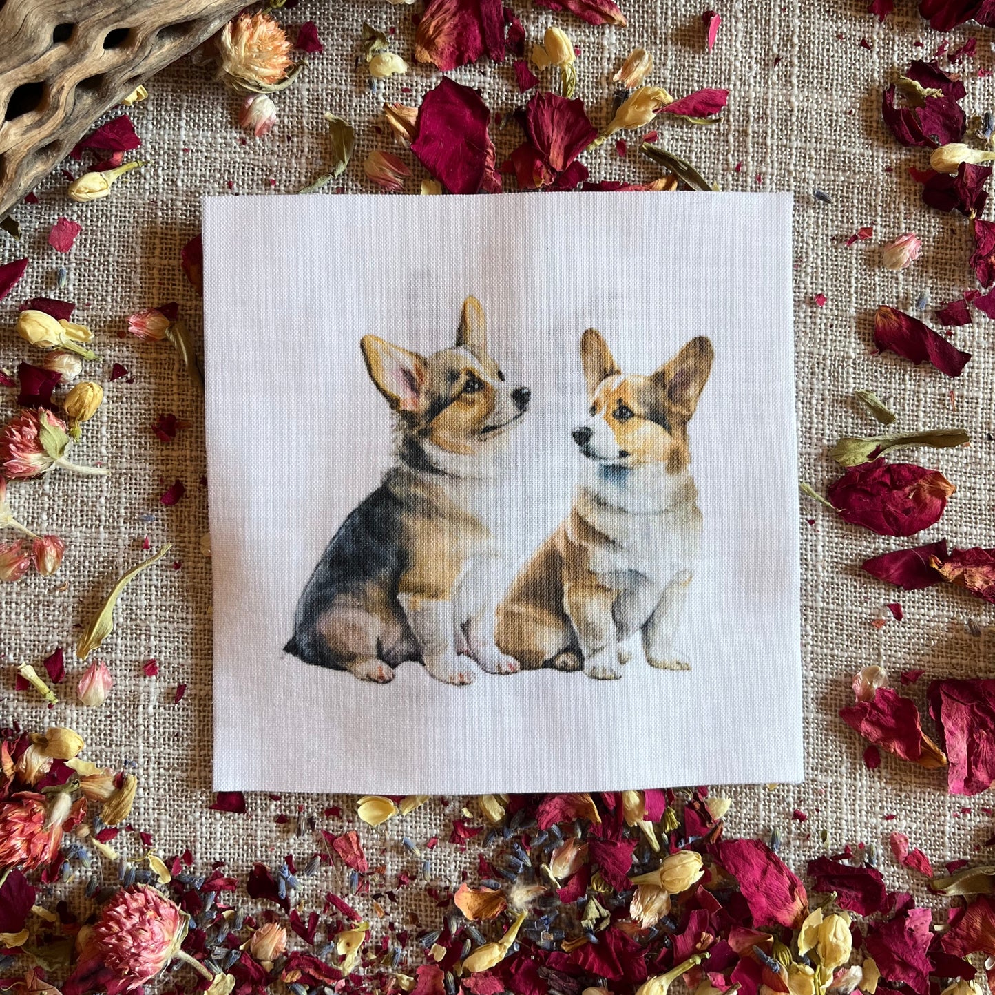 Set of 5 Different Adorable Corgi Quilt Squares