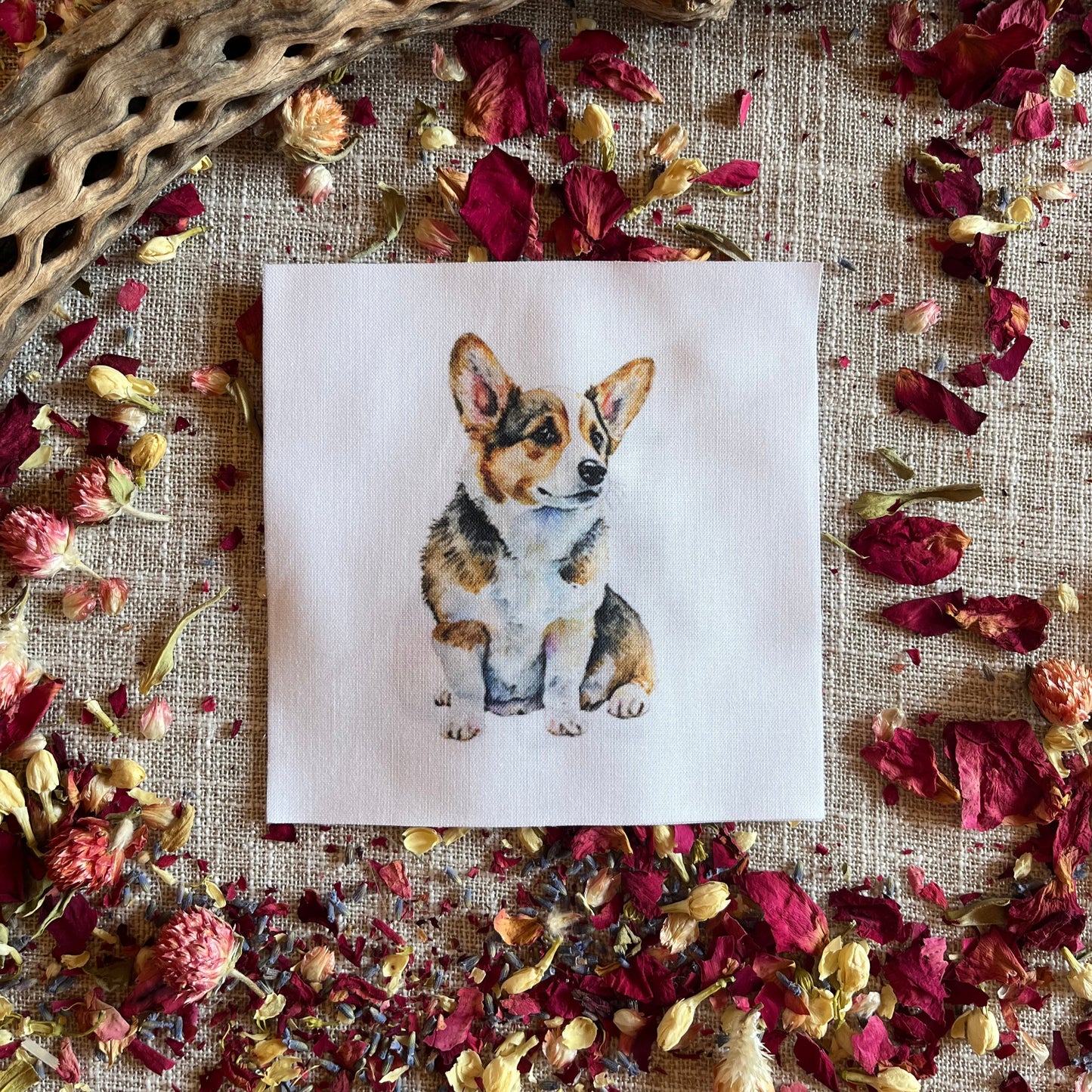 Set of 5 Different Adorable Corgi Quilt Squares