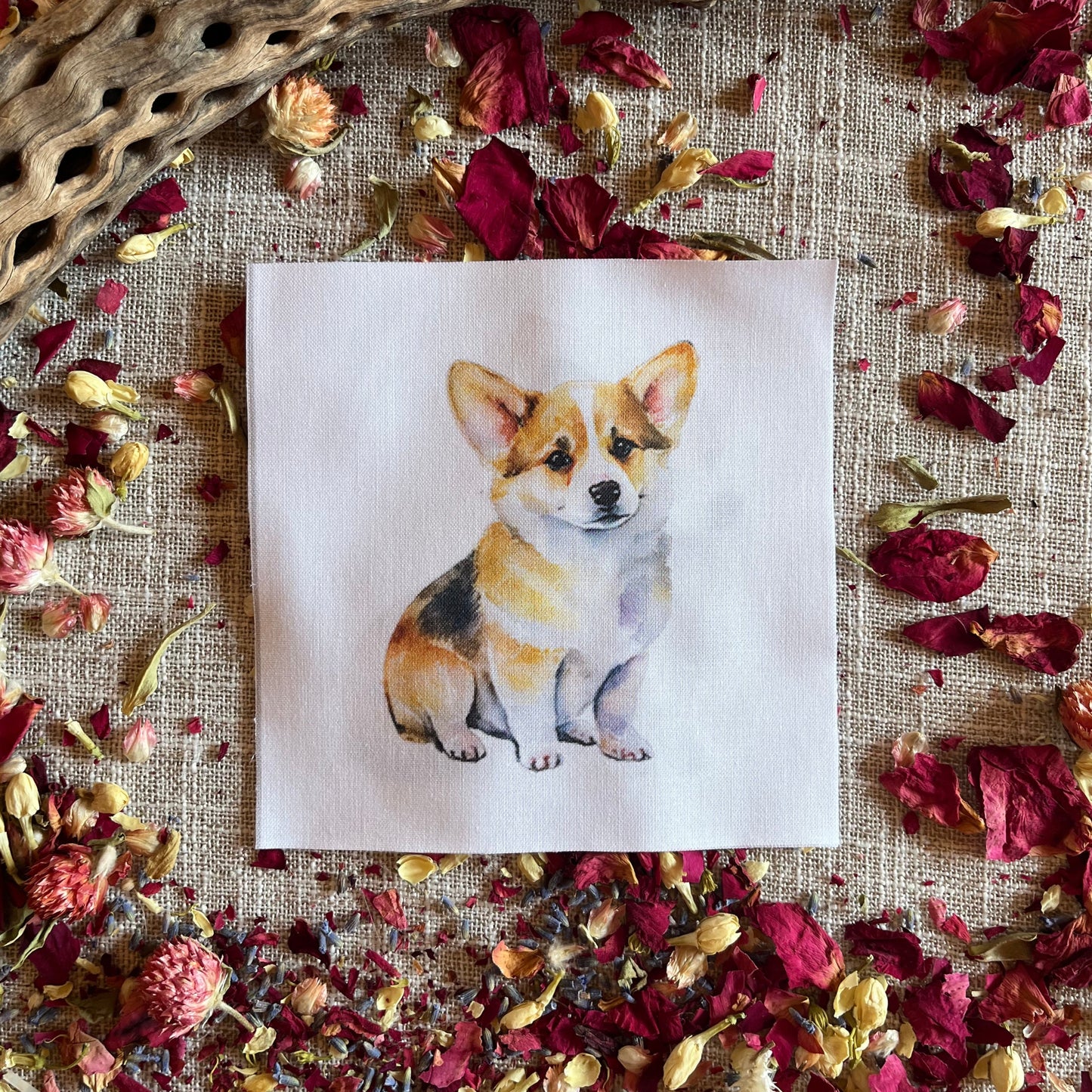 Set of 5 Different Adorable Corgi Quilt Squares