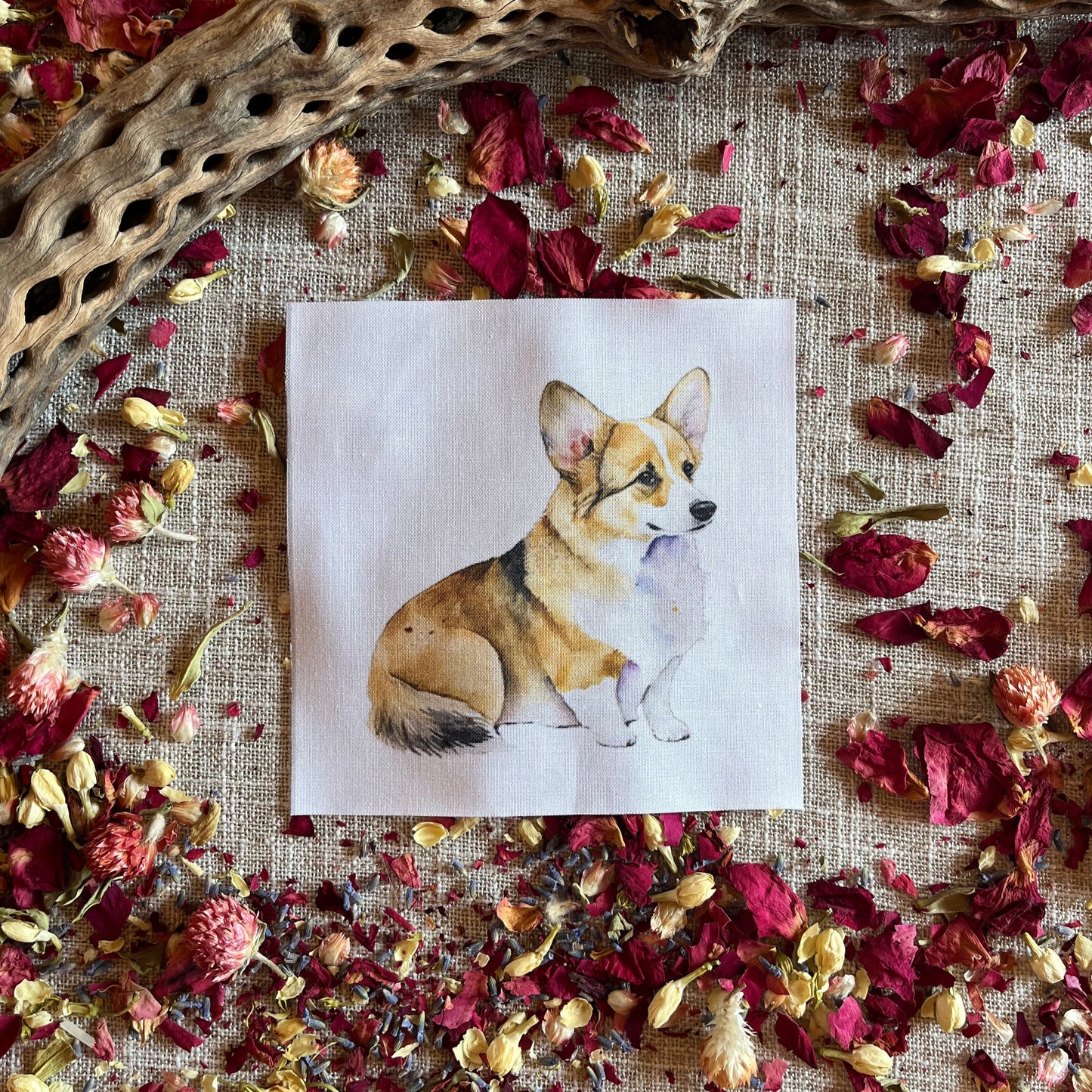 Set of 5 Different Adorable Corgi Quilt Squares