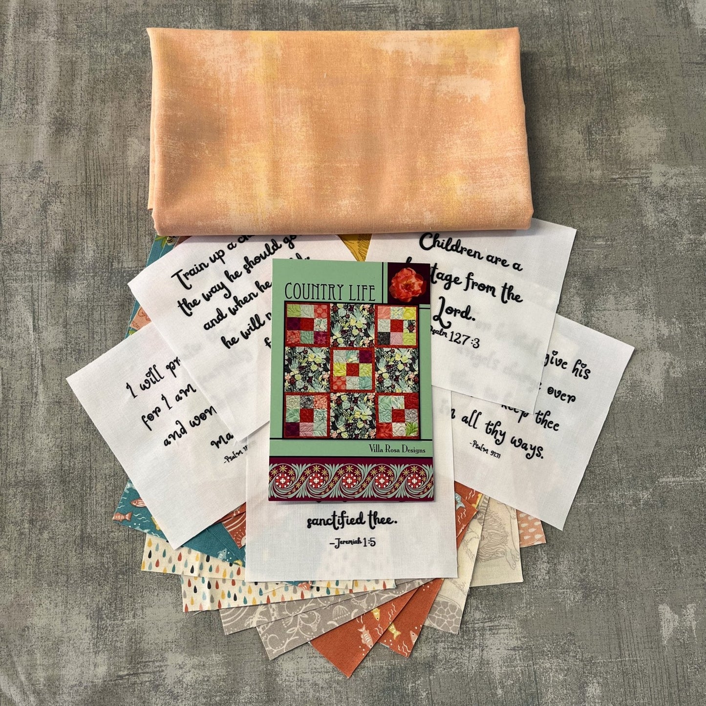 Little Blessings Baby Quilt Kit – Christian Baby Quilt – Country Life Villa Rosa Pattern – Noah’s Ark Fabric Quilt – 48" x 48"